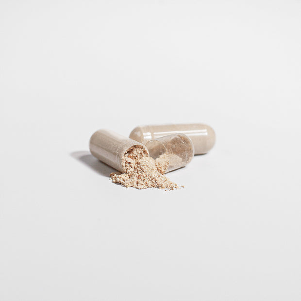 Premium Cordyceps Mushroom Immune Boost, Energy, And Recovery Support